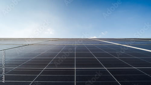 Konstfotografi A view of photovoltaic solar panel arrays positioned outdoors under a clear blue sky, designed to convert sunlight into renewable electrical energy