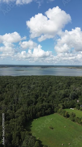 View of forrest and sea in insta format