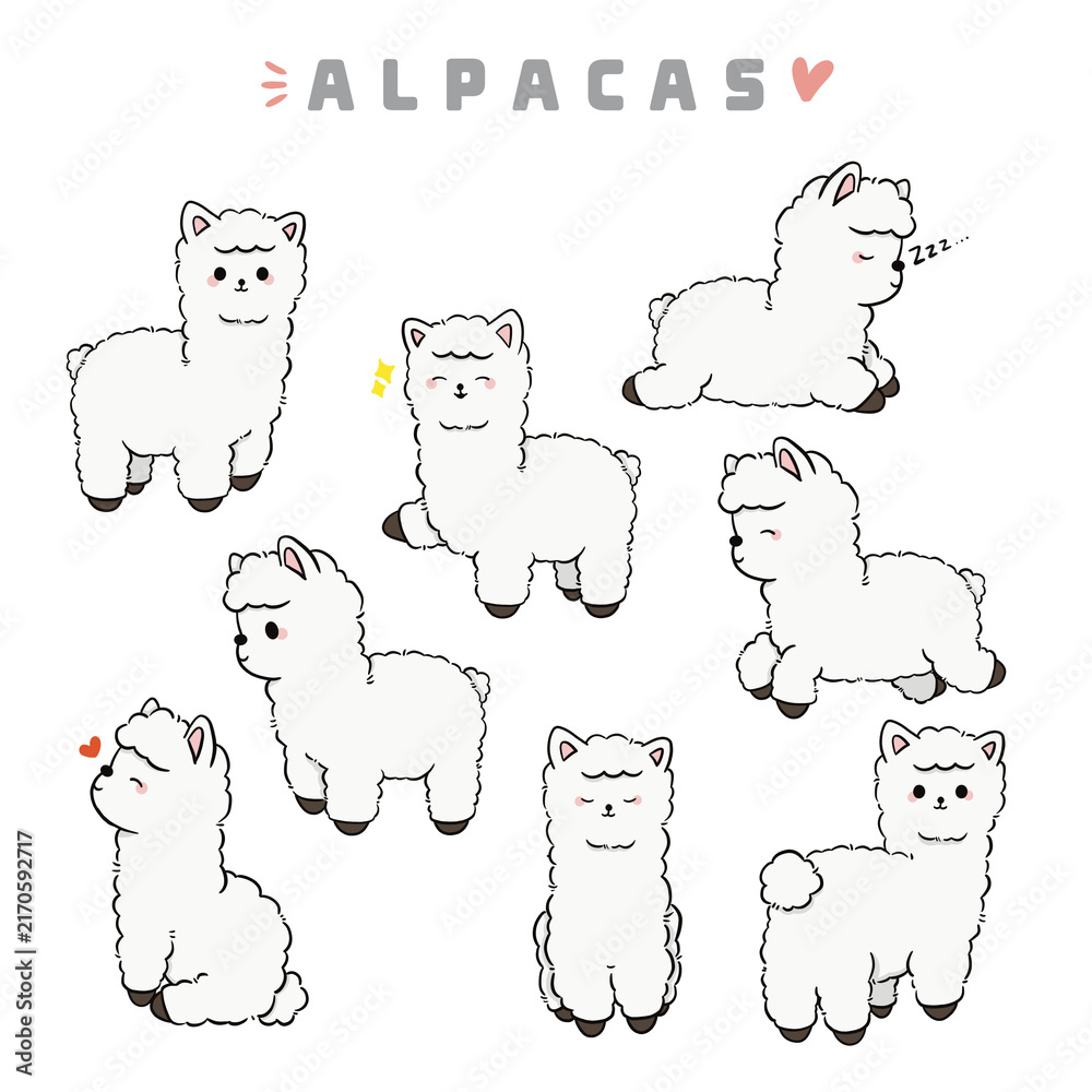 Naklejka premium Alpaca Illustration PNG