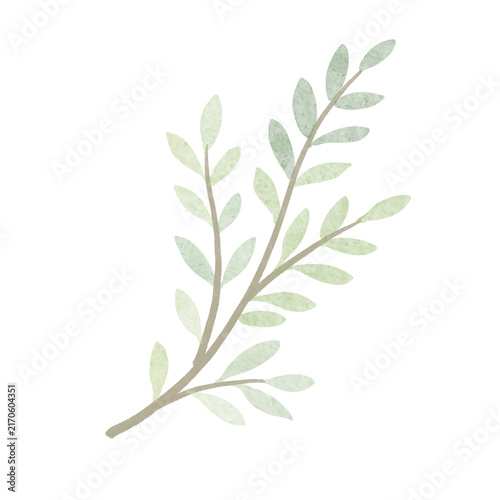 Hand Painted Green Leaf Branch Botanical Illustration
