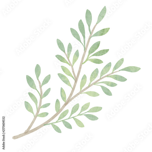 Hand Painted Green Leaf Branch Botanical Illustration
