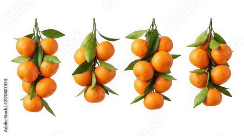 Fresh mandarin orange clusters with green leaves isolated on white background