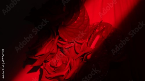 Closeup roses and glossy anthurium leaf revealed by moving red spotlight, widescreen cinematic framing, with rose, petal, flower, anthurium detail, showing leaf, vein, red, scarletcontext