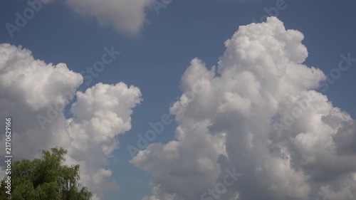 Towering cumulus clouds over treetop with subtle edge reshaping under daylight, with cloud, cumulus, sky, blue