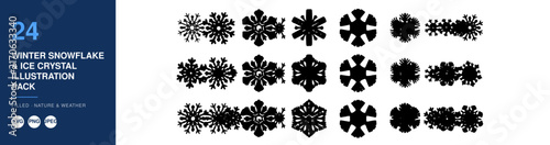 Snowflake Illustrations Set with Winter Ice Crystal Designs. Vector Pack Nameplate for Seasonal Graphics