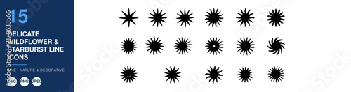 Wildflower Icons Set, Delicate Starburst Line Design. Nature Illustration, Decorative Elements