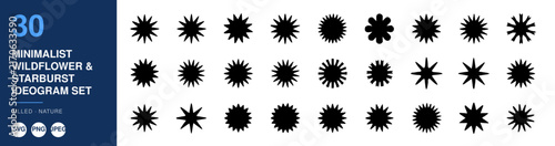 Wildflower Starburst Ideogram Set, Minimalist Design, Graphic Element Collection, Decorative Iconography