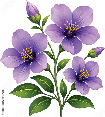 фотографія Purple anemone flowers png isolated, Elegant purple floral bouquet png isolated,