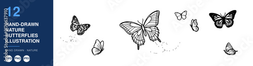 Butterflies Illustration, Hand-Drawn Nature Design, Delicate Winged Insects Featuring Vintage, Graphic