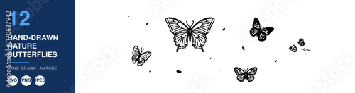 Butterflies, Hand-Drawn Nature Illustration, Delicate Wings, Botanical Design, Decorative Elements, Whimsical Concept.