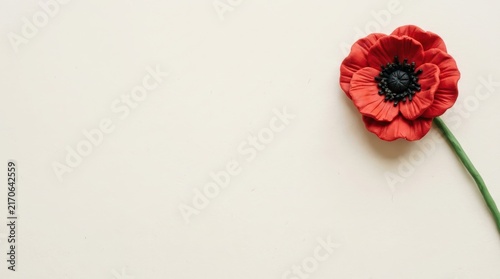 Single red poppy flower on cream background.