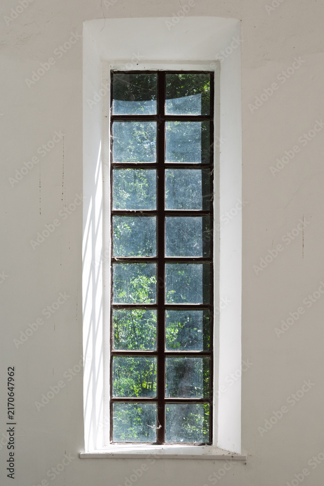 Obraz premium Old paned window with view of green trees in abandoned building