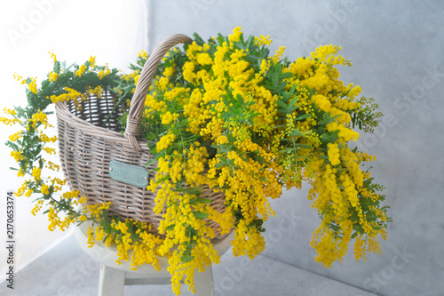 籐かごからあふれる鮮やかな黄色いミモザの春の花飾り