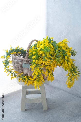 籐かごからあふれる鮮やかな黄色いミモザの春の花飾り