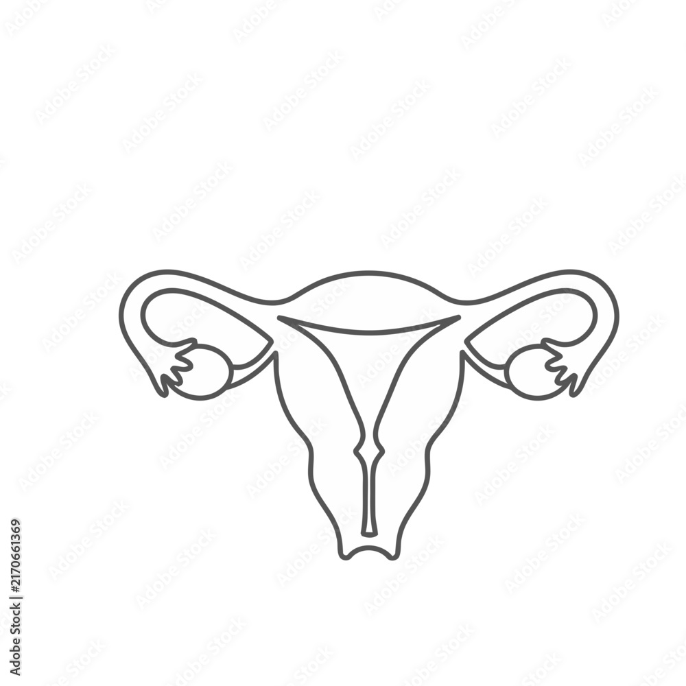 Fototapeta premium Uterus and Fallopian Tubes Line Art