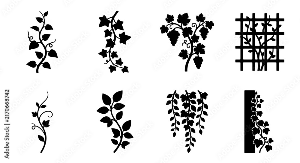 Fototapeta premium Botanical Vector Elements: Vine Swirls, Leaf Sprays, and Grape Clusters, Decorative Plant Silhouettes for Nature Designs