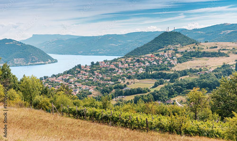 Fototapeta premium Rustic wooden vine posts support lush green grapevines on a hillside vineyard overlooking a village and distant river valley. Wine tourism concept.