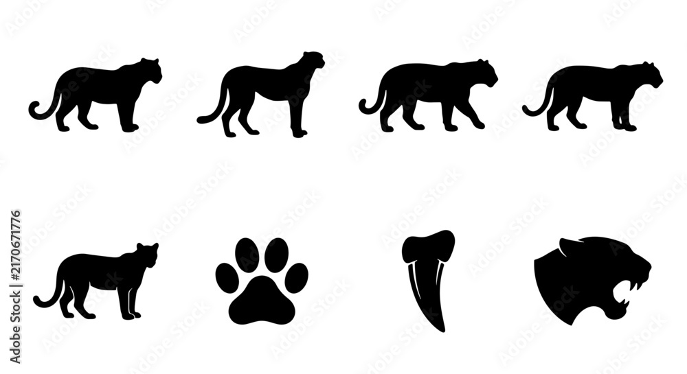 Fototapeta premium Big Cat Silhouettes Vector Pack: Panther, Jaguar, Leopard Icons, Paw Print, Tooth, Head Graphics for Wildlife and Safari Designs