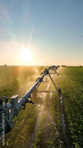 Irrigation system spraying water over green crops in a field during sunset, with sunlight illuminating the landscape and creating a misty atmosphere