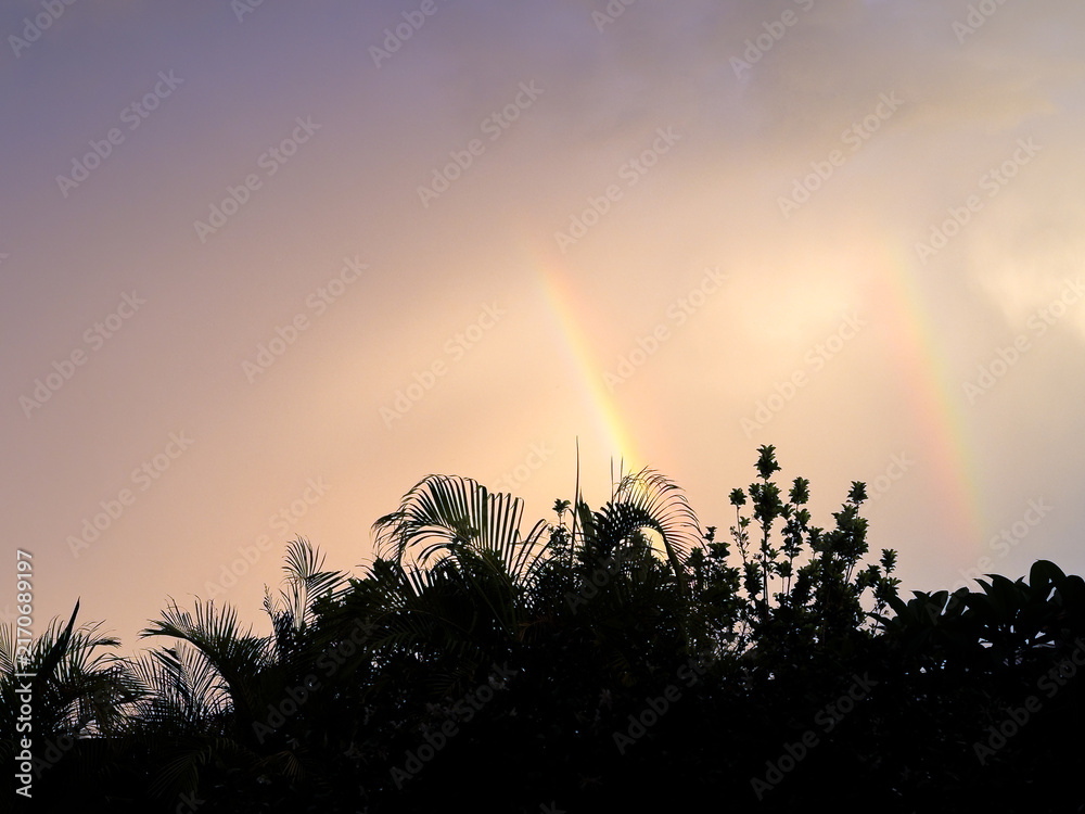 Fototapeta premium Double rainbow above silhouetted tropical garden