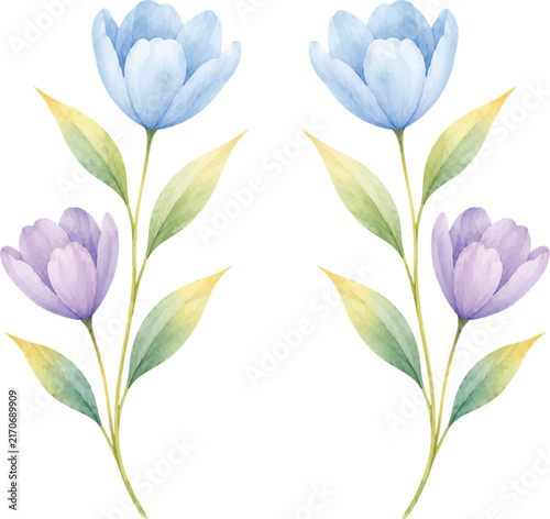 Blue and Purple Watercolor Tulip Collection, Elegant Lavender Tulip Flowers Isolated, Delicate Floral PNG Elements