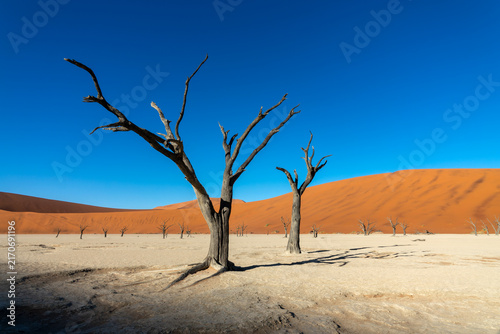 Quadro su tela Deadvlei (or Dead Vlei), dead  trees and sand dunes in Sossusvlei, Namib Nauklu