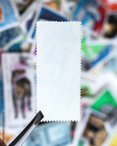 Fotografie Philatelist holds blank postage stamp with metal tweezers, examining collectible