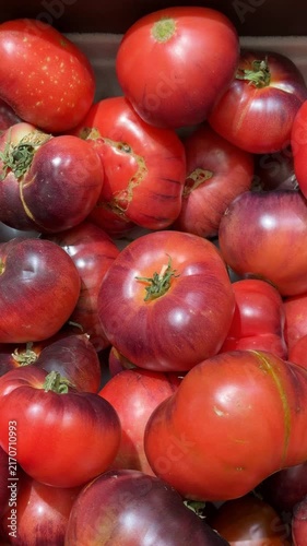 Heirloom tomatoes of varying colors and sizes in vertical format for food background use