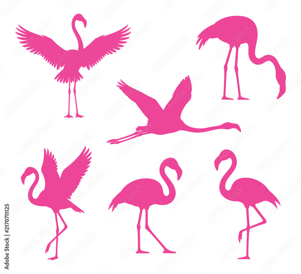 Obraz premium Set of pink flamingo silhouettes in various poses including standing walking and flying on white background