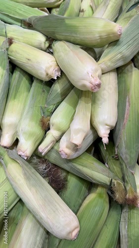 Pile of fresh corn cobs with husks in natural lighting background