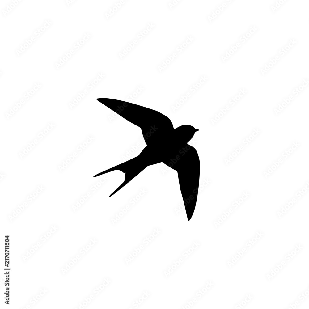 Fototapeta premium Black silhouette of a flying swallow bird