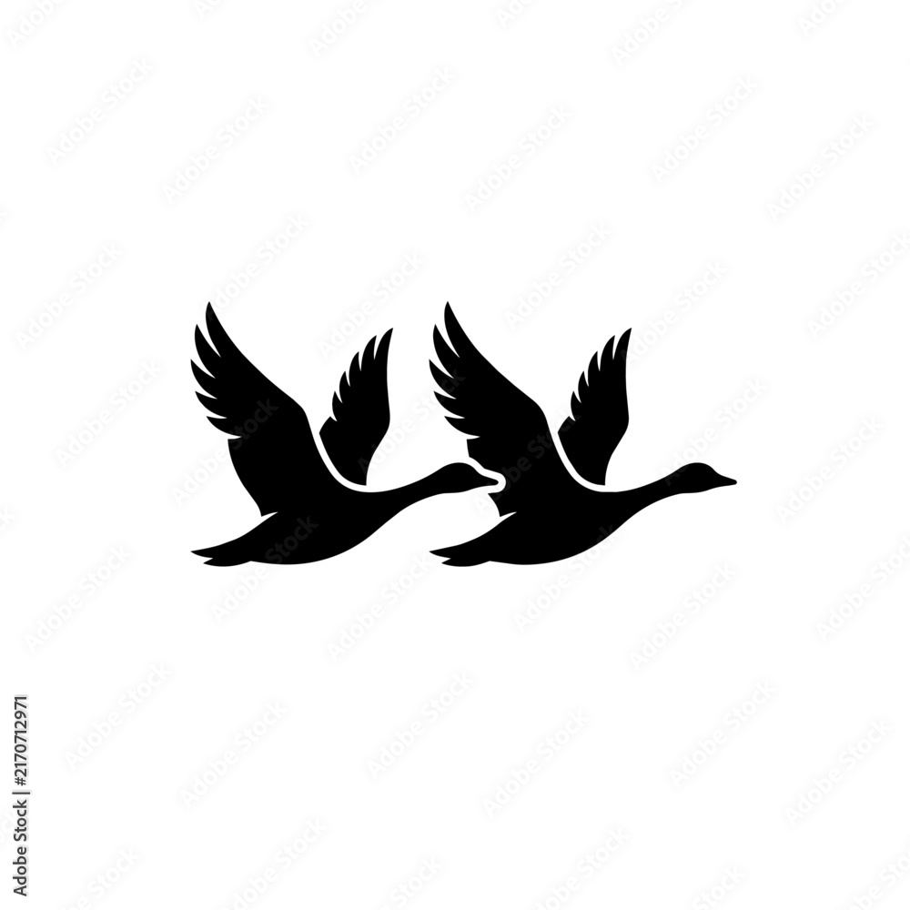 Naklejka premium Black silhouette of two flying ducks vector illustration
