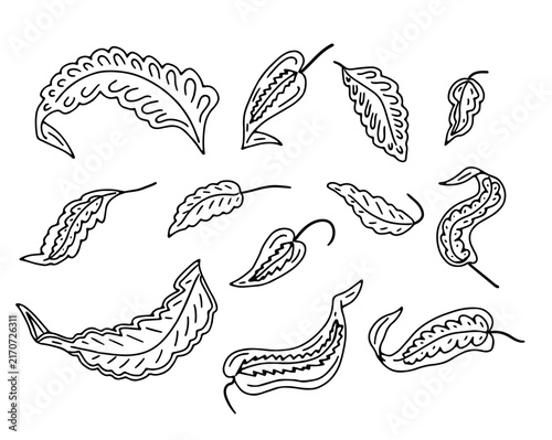 Monochrome Jacobean floral folk motifs set. Vintage black and white botanical leaves bundle. Hand drawn vector