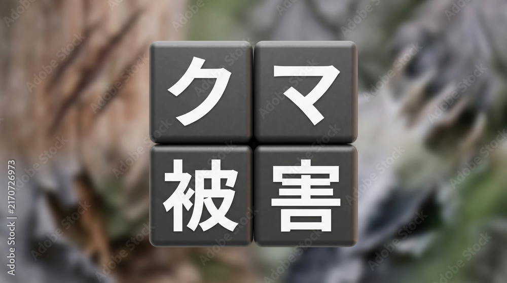 Obraz premium 「クマ被害」の文字を配置したブロックで表現する野生動物問題の概念素材