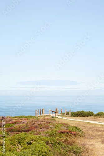 Konstfotografi Vertical view of a wooden viewpoint platform and coastal trail amidst blooming h