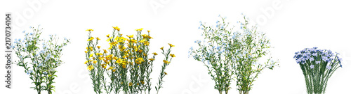 Set of Kalimeris indica and Flax frontal isolated png on a transparent background perfectly cutout high resolution