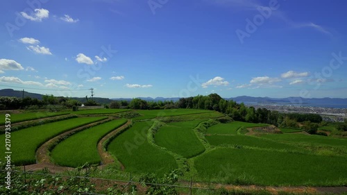 Timelapse Panning of Terraced Rice Fields Overlooking Omura Bay in Nagasaki, Japan