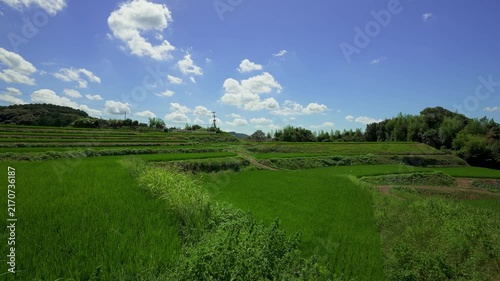 Panning View of Terraced Rice Fields Under Blue Sky in Omura, Nagasaki, Japan