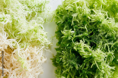 Sphagnum moss before and after wetting showing dry and hydrated textures  