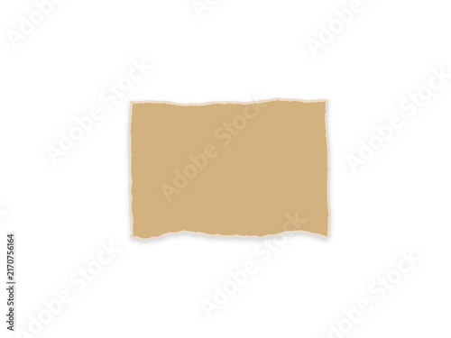 A rectangular piece of tan paper with rough torn edges on a white background