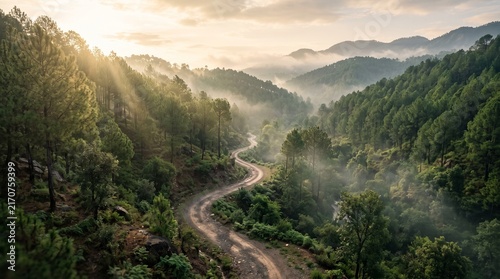 winding road mountain landscape pine forest misty valley sunrise rays foggy morning nature scenic country road hiking trail wilderness view green trees mountain pass morning light