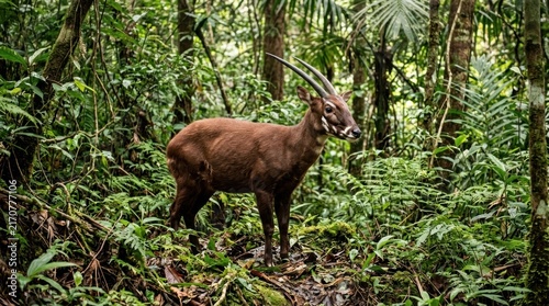 Saola standing in forest
