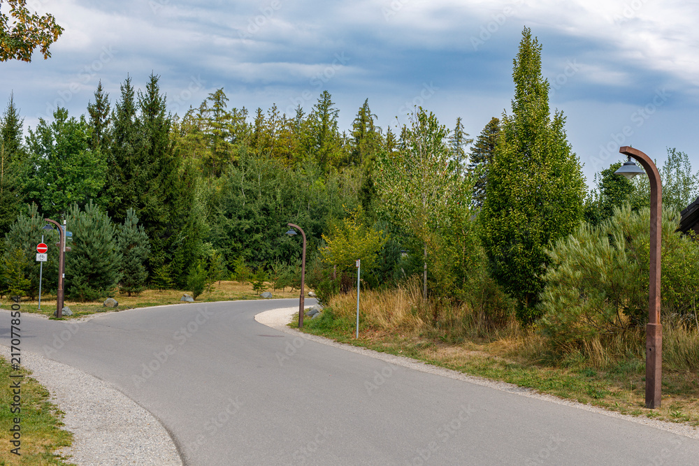 Fototapeta premium Scenic winding path in a lush green forest, with contemporary streetlights and a no cycling sign.