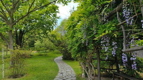 Canvas Print Japanese garden in sunny spring day