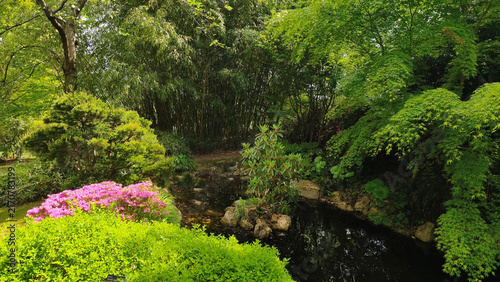 Japanese garden in sunny spring day