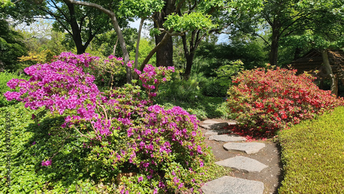 Canvas Print Japanese garden in sunny spring day