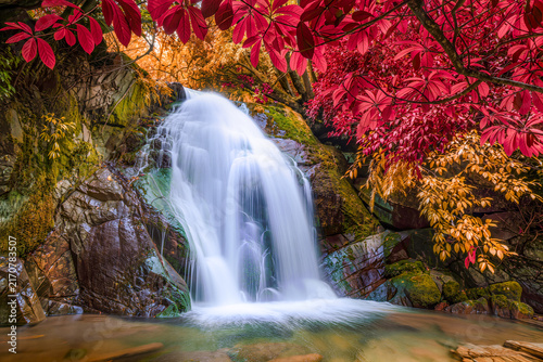 Silky white waterfall pouring over mossy rock framed by brilliant crimson and amber autumn leaves