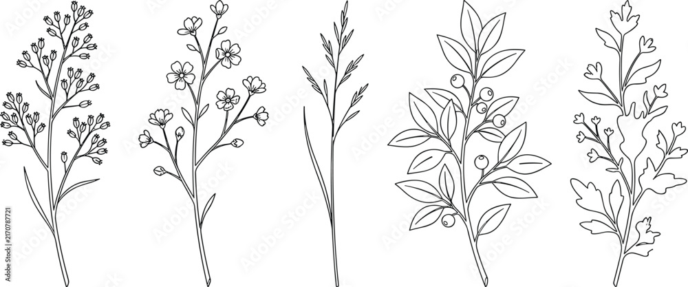 Fototapeta premium Minimalist Continuous Line Drawing of Botanical Stems with Leaves, Flowers, and Berries