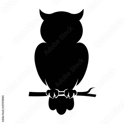 owl