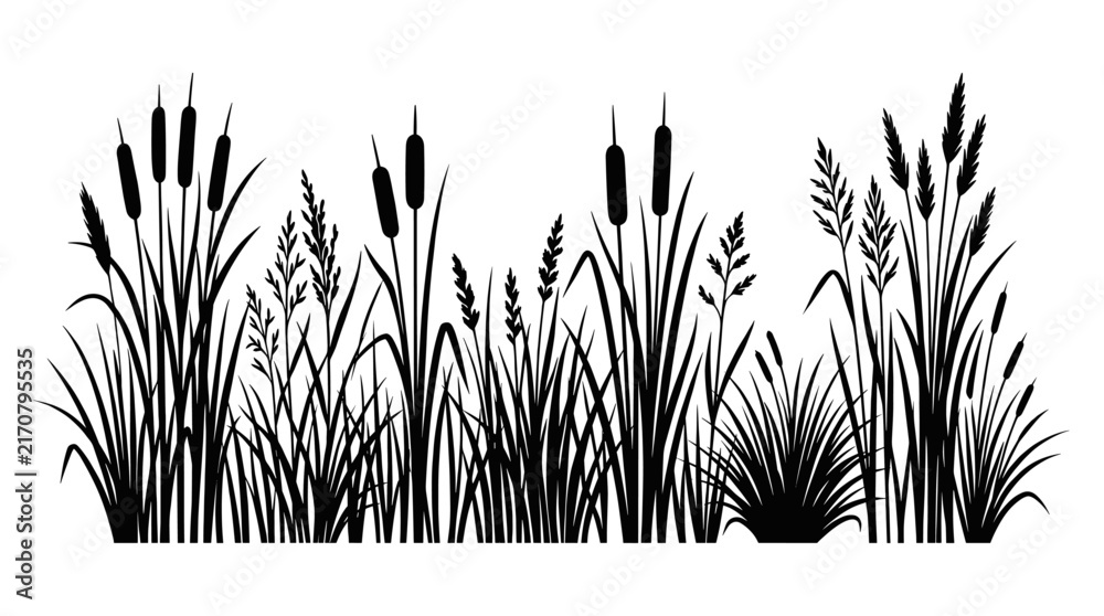 Fototapeta premium Detailed horizontal silhouette of wild meadow grass and reeds.
